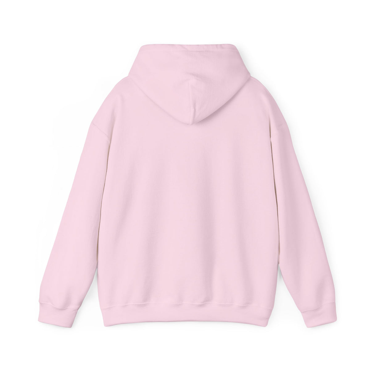My Mind Is Like My Internet Browser, hoodie
