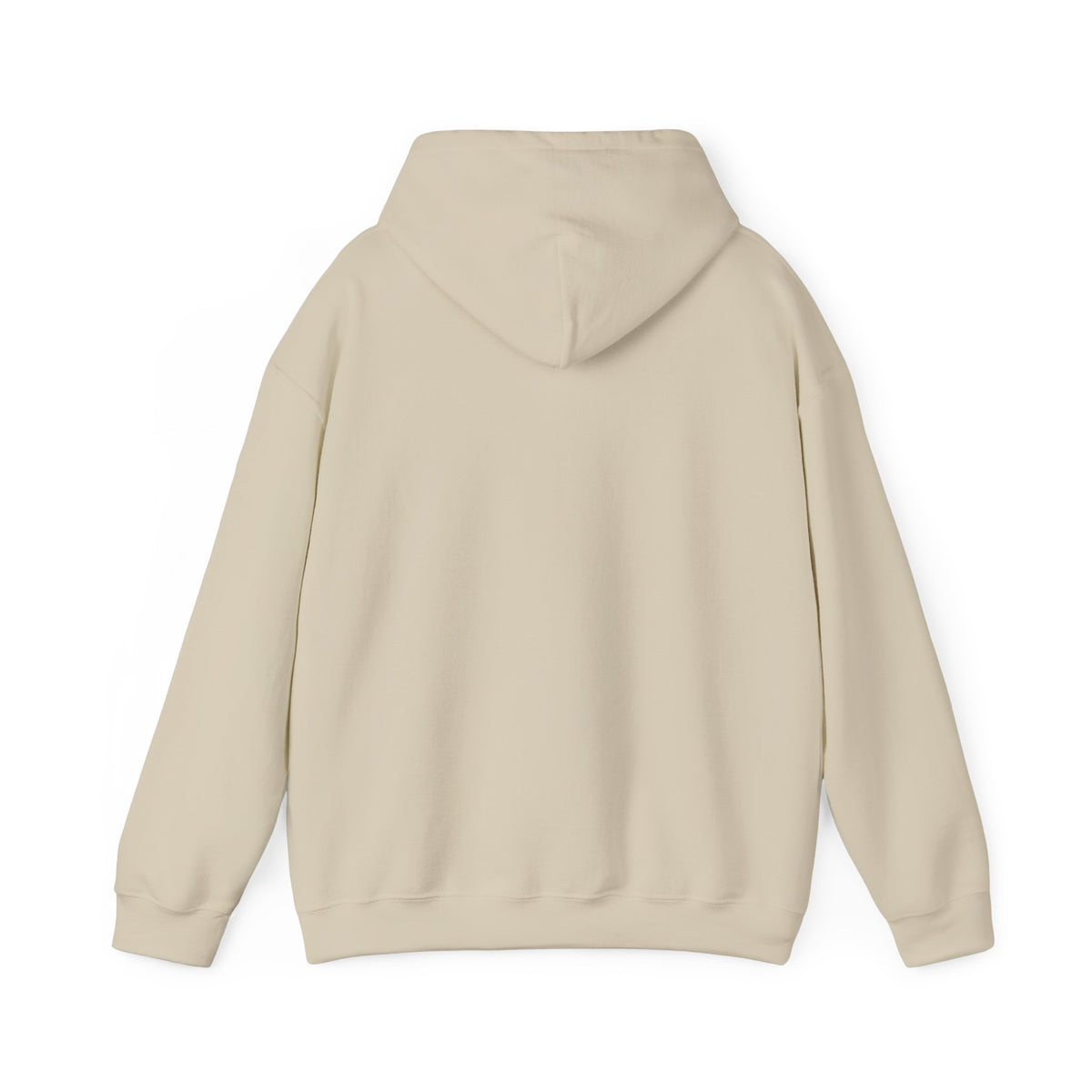 My Mind Is Like My Internet Browser, hoodie