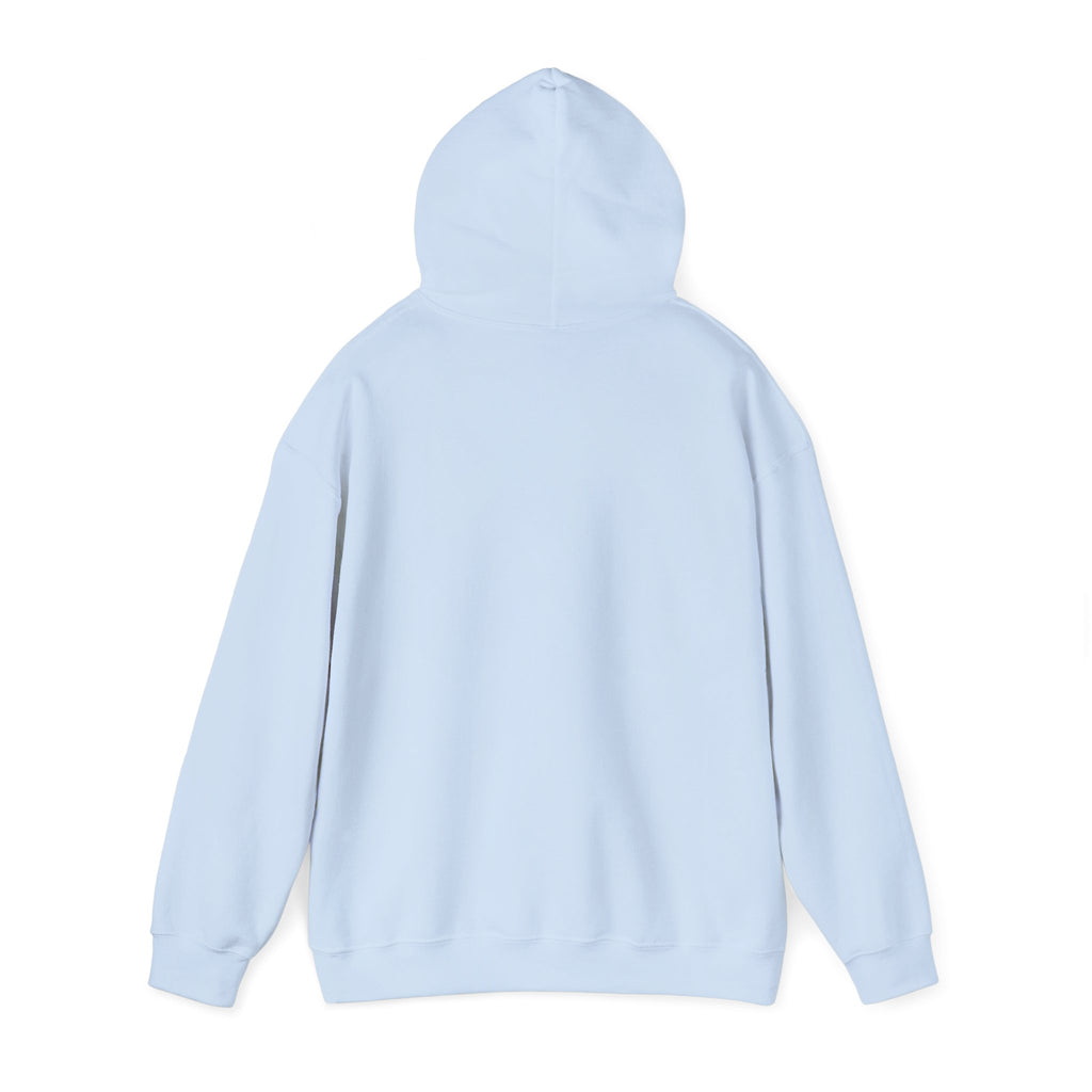 My Mind Is Like My Internet Browser, hoodie