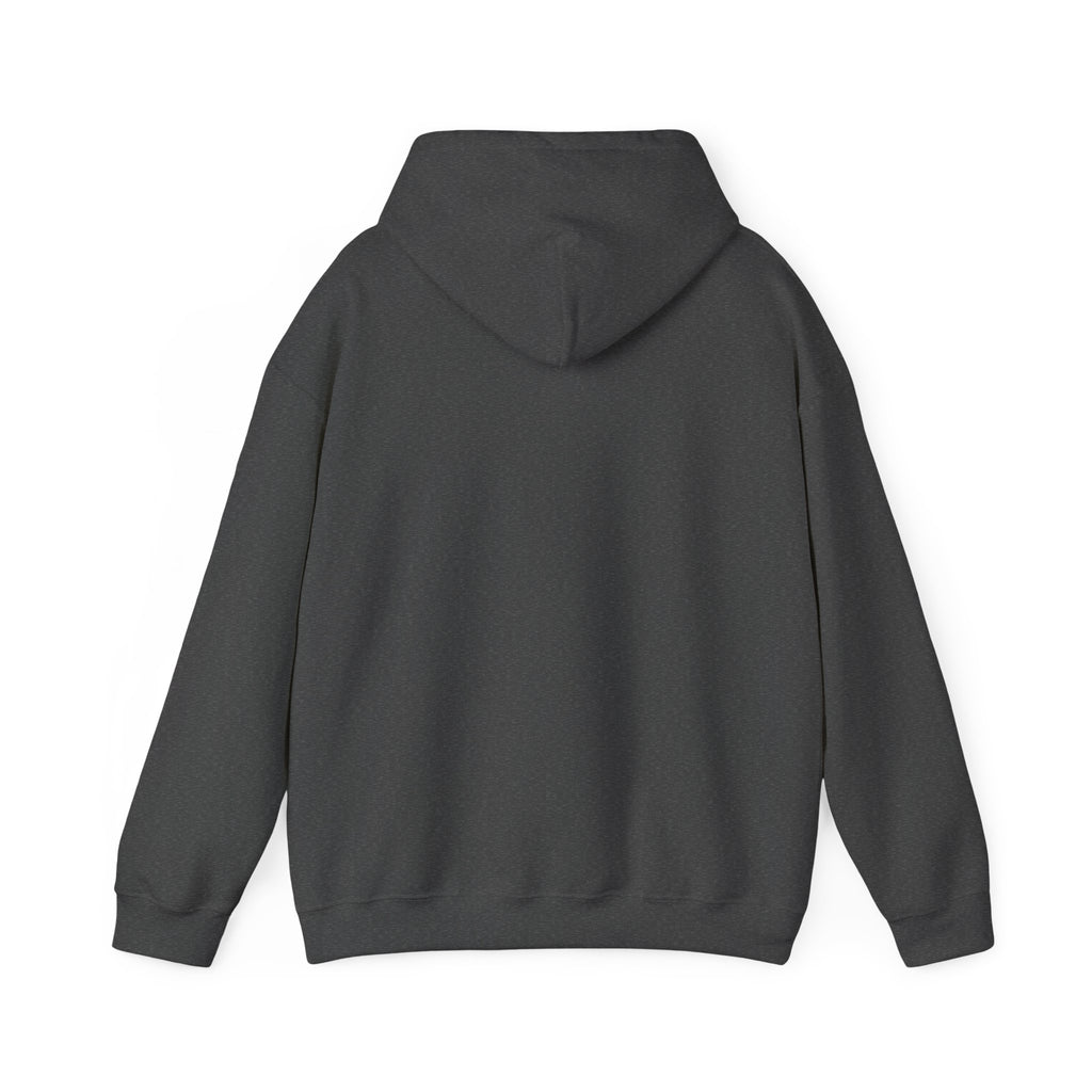 My Mind Is Like My Internet Browser, hoodie