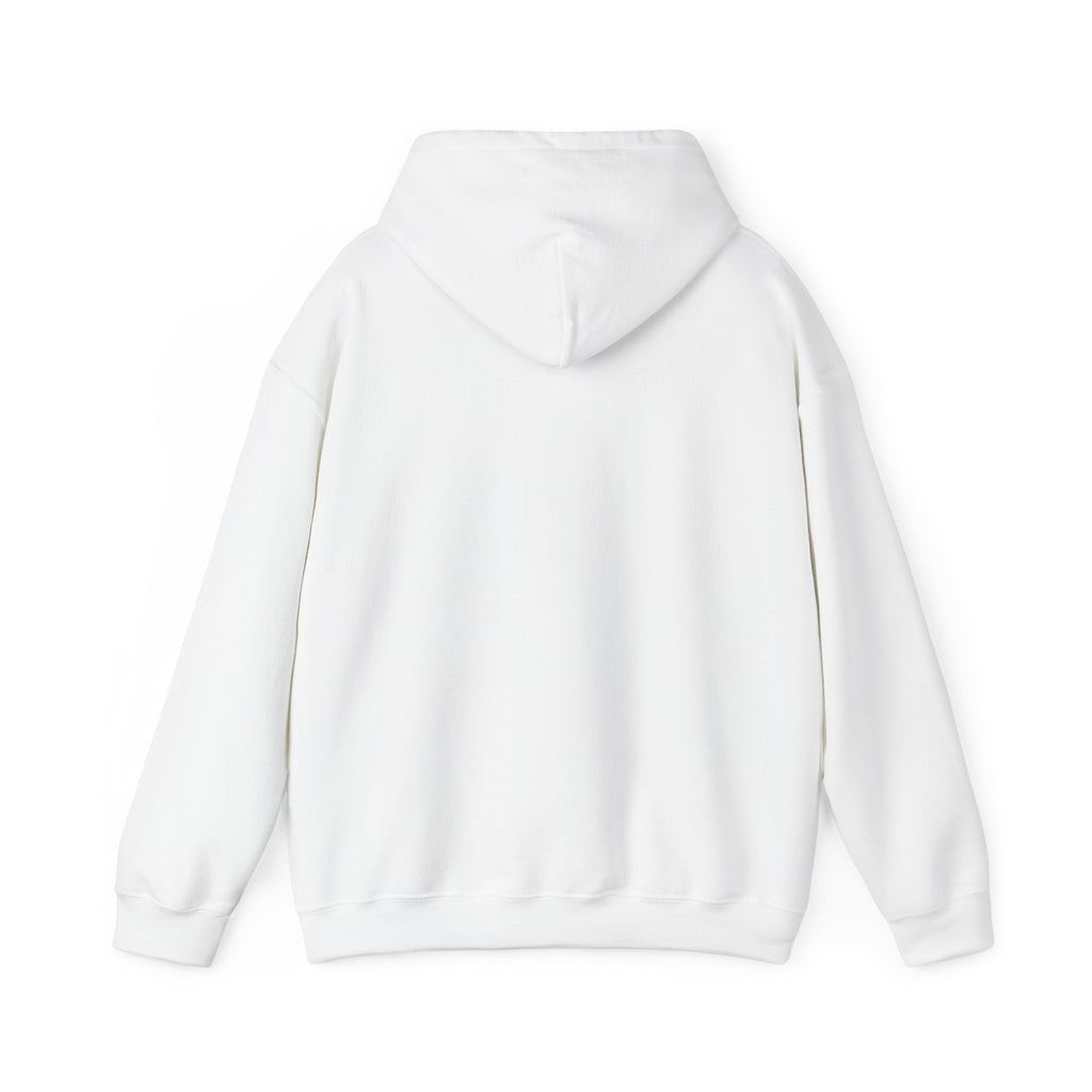 My Mind Is Like My Internet Browser, hoodie